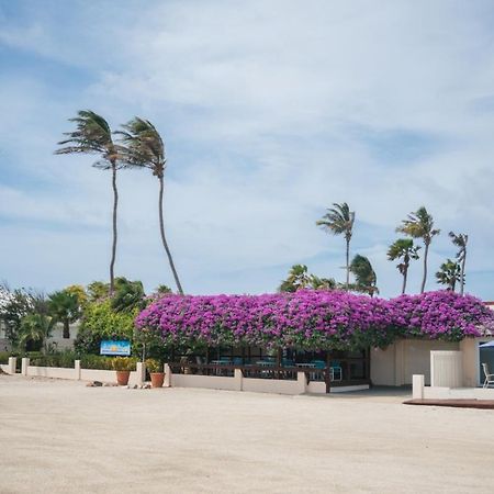 Aruba Beach Villas Palm Beach Kültér fotó