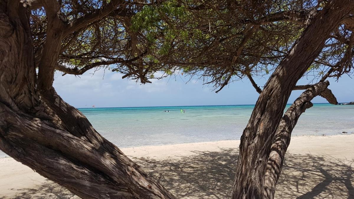 Aruba Beach Villas Palm Beach Kültér fotó